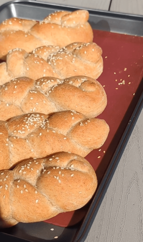 Whole Grain Bread&nbsp;Rolls