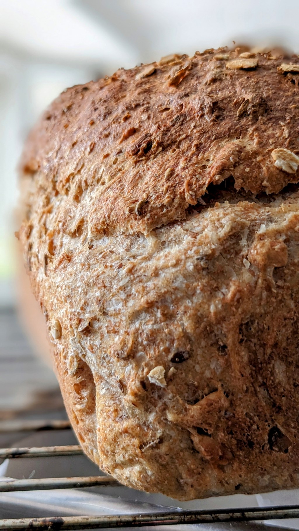 Wholemeal Seed Bread 