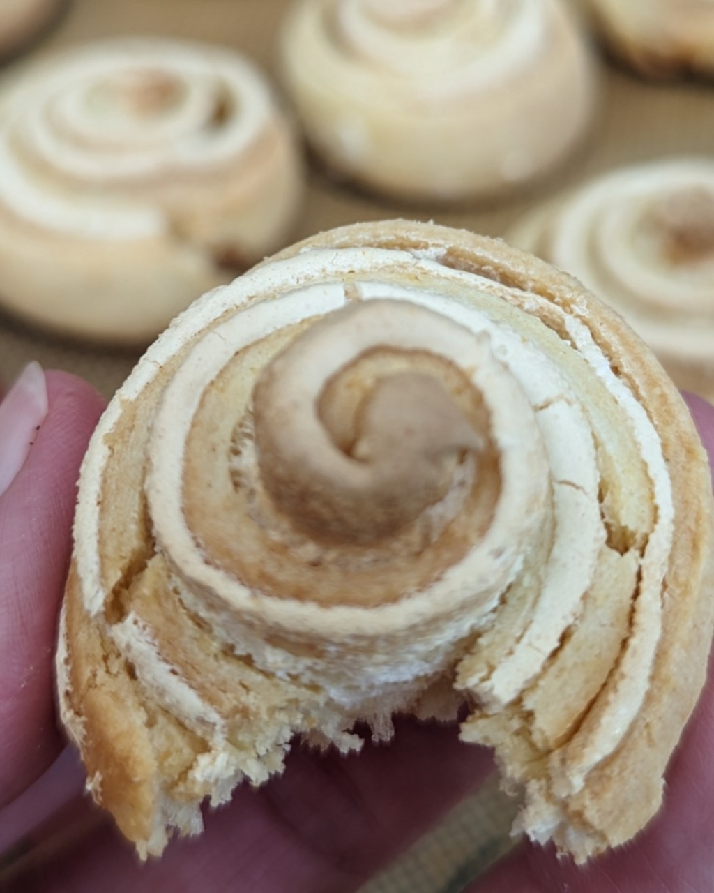 Buttery Rose Cookies with Vanilla&nbsp;Meringue